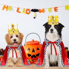 GOYOSWA dog king costume with two neck straps stays in place