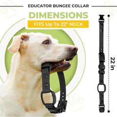 Gracie To The Rescue durable nylon e-collar strap built for tough play