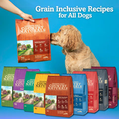 Grandma Mae's Large Breed kibble close-up highlighting real meat and wholesome grains for strong muscles