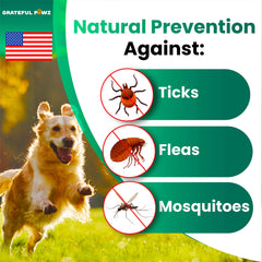 Grateful Pawz chewable tablets closeup illustrating tasty daily protection for dogs