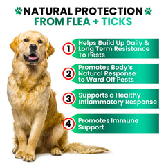 Grateful Pawz natural ingredients label emphasizes safe, USA-made flea and tick prevention