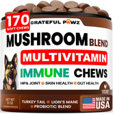 Grateful Pawz Turkey Tail dog chews bottle shows immune-supporting supplement in actionable packaging.