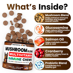 Grateful Pawz Turkey Tail dog chews closeup highlights tasty texture and daily vitality support.