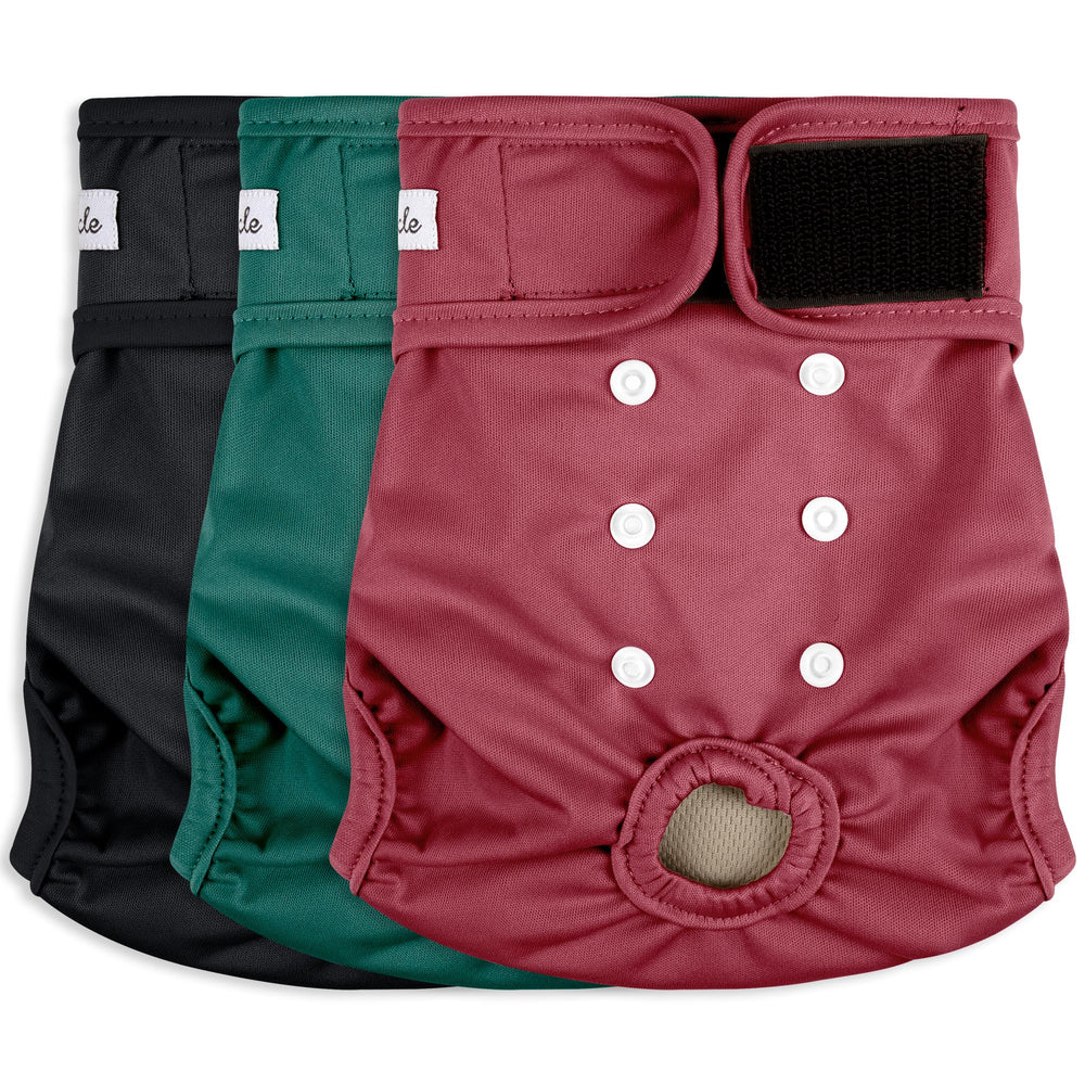 Grecle red XL dog diaper in use offers secure daytime protection during walks.