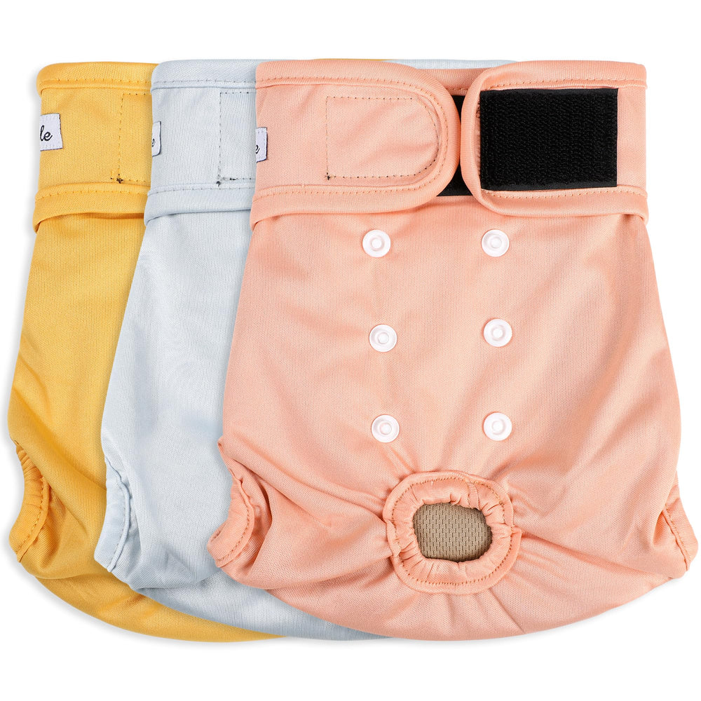 Grecle female dog diapers packaging highlights easy, reusable design for quick changes.