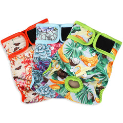 Grecle Washable Female Dog Diapers closeup shows absorbent pad for moisture control