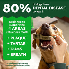 Greenies original dental treats chew texture closeup illustrates design to clean gums in petite dogs.