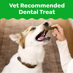 Greenies original dental treats chews closeup shows chew texture suitable for daily dental care.