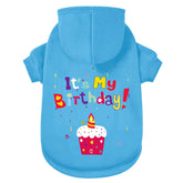 GreenJoy dog sweater blue its my birthday keeps pets cozy on chilly strolls.