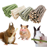 GREMBEB Bunny Chew Stick apple wood close-up promotes natural chewing enrichment