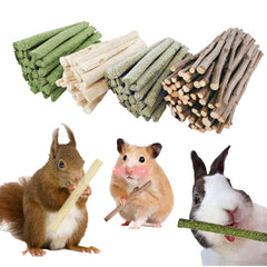 GREMBEB Bunny Chew Stick apple wood close-up promotes natural chewing enrichment