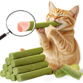 GREMBEB cat grass teething stick packaging for an easy, dental-friendly indoor cat treat.