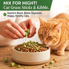 GREMBEB dental health crunch cat treat offers a crunchy bite for potential breath freshness.