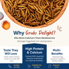 Chickens enjoy Grubs Delight BSFL providing energy during feeding.