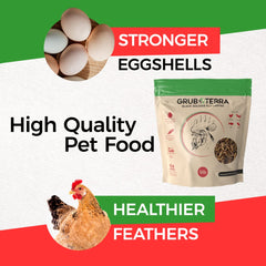 GrubTerra Golden Dried BSF Larvae in dish for easy feeding