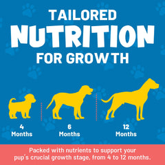 Guardian's Choice VitaPup soft chews texture for easy chewing.