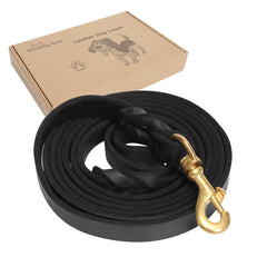 Guiding Star Leather Dog Leash shows soft braided leather handle for comfortable daily walks.