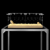 GuineaLoft Model-P3 front view shows escape-proof acrylic cage design for small pets.