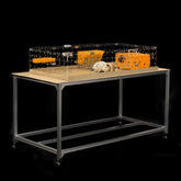GuineaLoft Model-A front view shows a spacious 4x2ft cage supporting engaging pet interactions