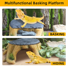 GXSDJ platform slate texture and natural rock finish enhances habitat realism.