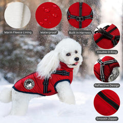 Gyuzh dog coat with harness warm fleece interior for cozy cold-weather outings.
