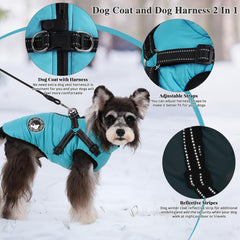 Gyuzh dog coat warm fleece lining for cozy winter strolls.