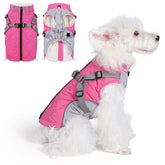 Gyuzh dog coat with harness back view demonstrates built-in 2-in-1 design for secure outdoors.