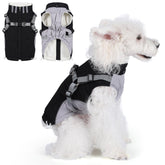 Gyuzh dog coat with harness front view highlights secure fit for chilly outdoor strolls