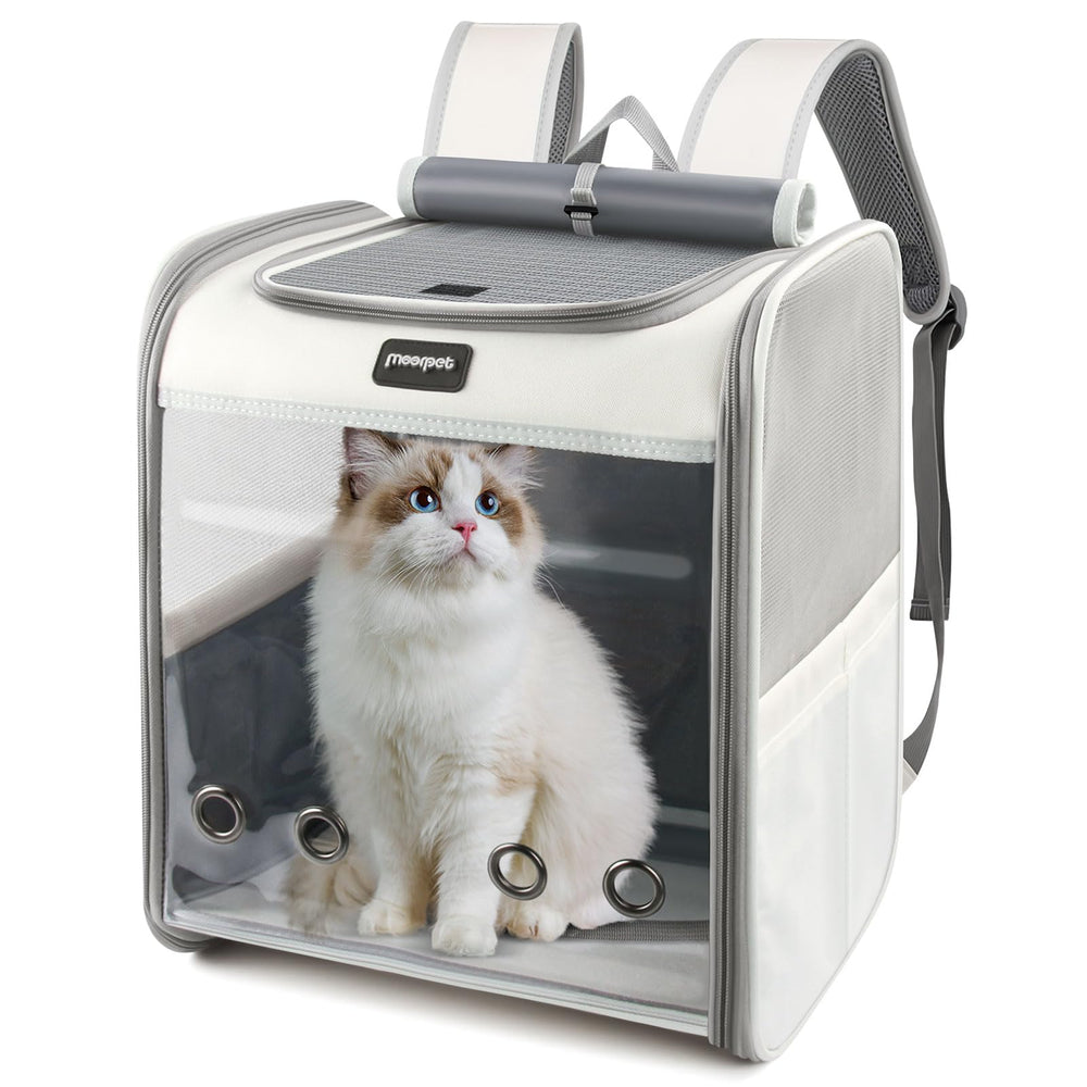 gzxiaoqi cat backpack wide view showing clear window for pet visibility on hiking