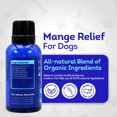 HA4E homeopathic pellets label highlighting organic, non-GMO formulation