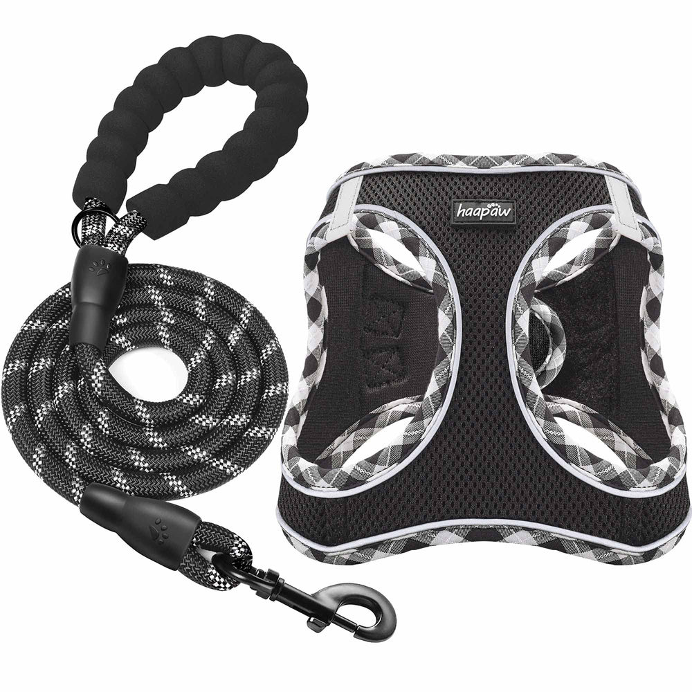 haapaw arnés con correa set suave, cómodo y práctico para perros pequeños.
