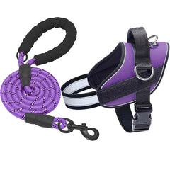 Haapaw Essential Dog Harness XL Purple for comfortable daily walks and big dogs