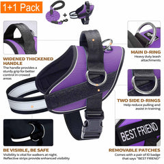 Haapaw three-ring no-pull leash attachment showing versatile training points