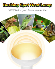 Haceryc Reptile Heat Lamp UVA-simulated light supports natural behaviors in enclosures.