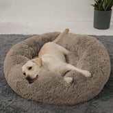 HACHIKITTY calming donut bed outer view in taupe for large dogs, inviting curling comfort.
