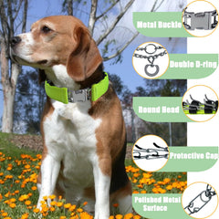 HAESINPA prong collar round-head with soft rubber caps for gentle contact
