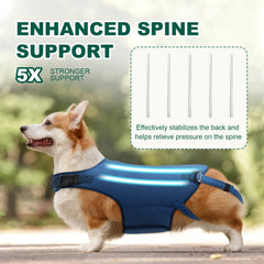 HAGGEMI dog back brace elastic compression fabric helps reduce inflammation support