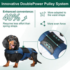 HAGGEMI dog back brace five-support-bars boost spine stability for IVDD