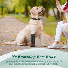 HAGGEMI strap-on drop-foot brace adjustable straps shown for a secure, customized fit.