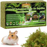Halatool sphagnum moss reptile bedding 12oz offers soft, moisture-rich habitat.