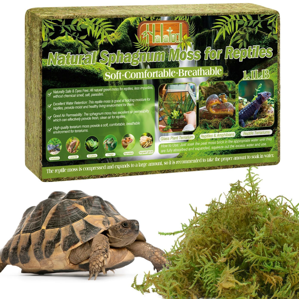Halatool sphagnum moss reptile bedding closeup shows soft natural texture for cozy terrarium bedding