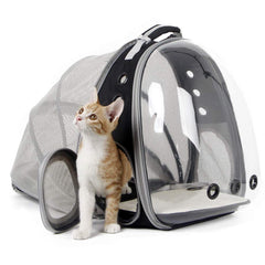 halinfer back expandable cat backpack front bubble view for curious pets on outings