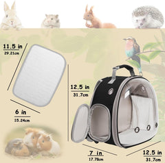 halinfer carrier backpack features ergonomic, hands-free design for reptile transport.