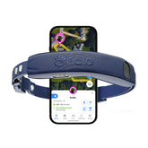 Halo Collar 5 fence setup demonstrates real-time boundary visibility for safe yard training