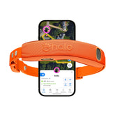 Halo Collar 5 GPS fence setup demonstrates real-time boundary control and safety.
