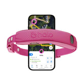 Halo Collar 5 Orchid dog-wearable with real-time location monitoring.