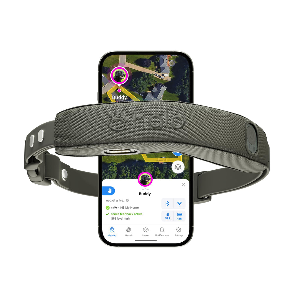 Halo Collar 5 fence boundaries—real-time safety for your dog.