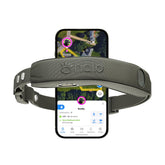 Halo Collar 5 fence boundaries—real-time safety for your dog.