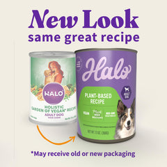 Halo Garden of Vegan wet dog food serving in bowl for adult dogs energy.