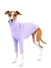 Haloumoning dog fleece sweater turtleneck keeps small dogs warm during chilly walks